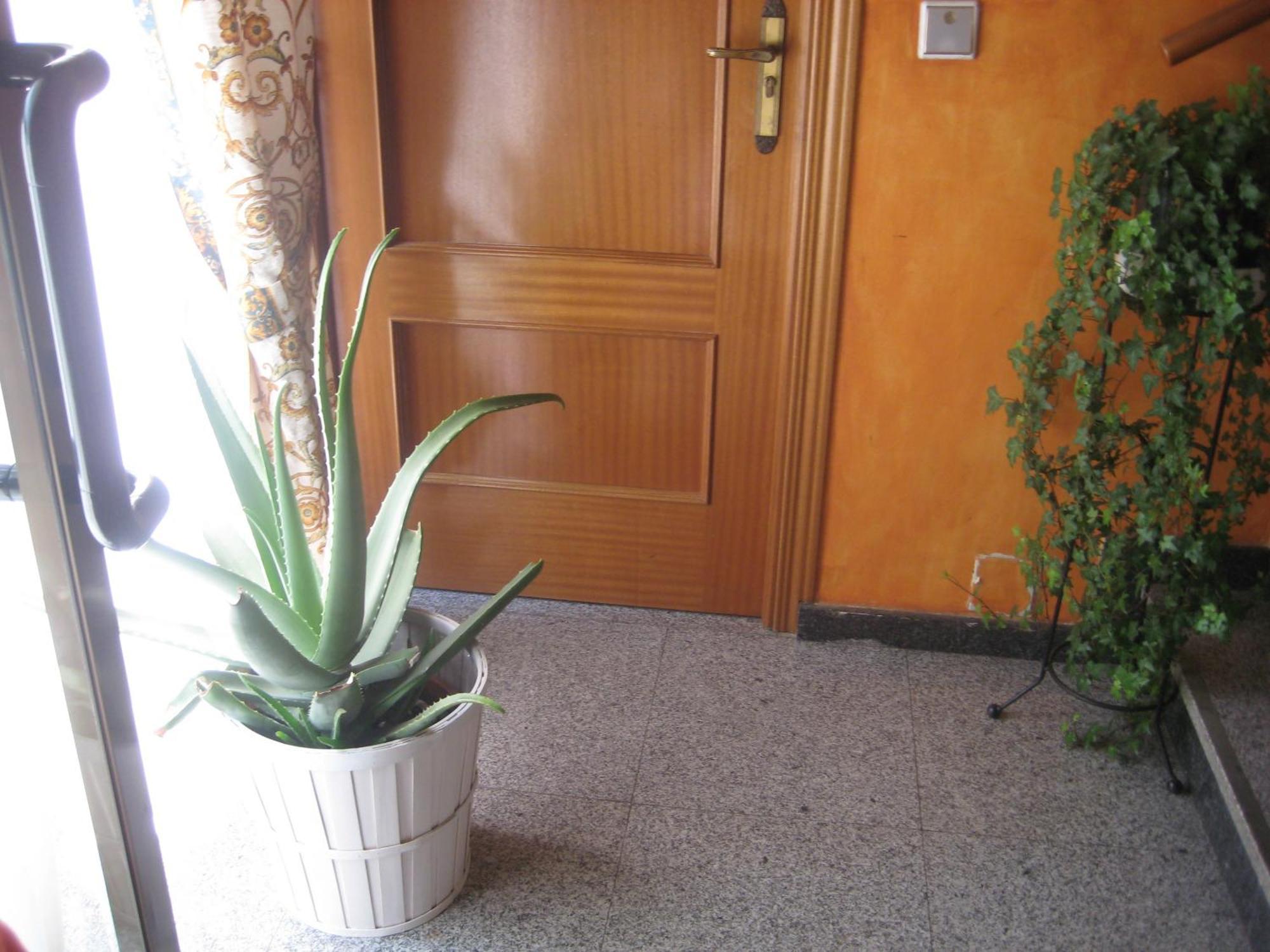 Hostal El Pinar Ávila Zewnętrze zdjęcie